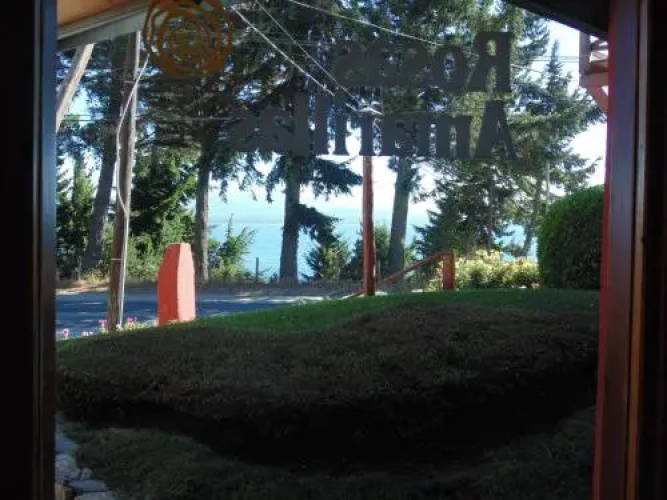 Rosas Amarillas