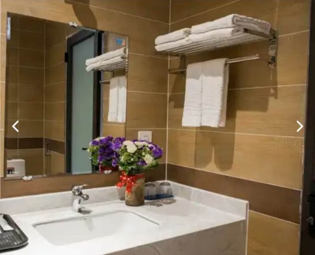 Deluxe Twin room with garden view