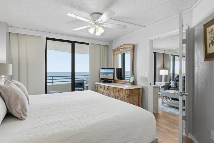 Sand Dollar 501