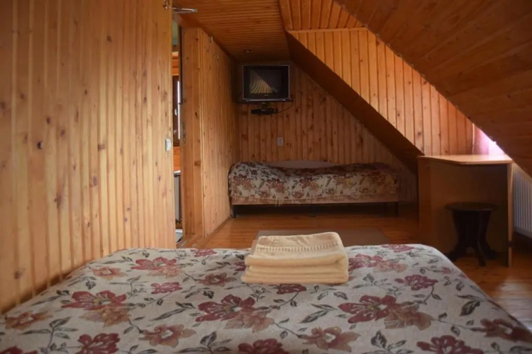 Standard Family room with mountain view