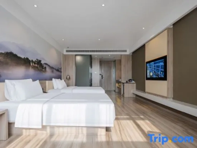 Executive Twin room with city view