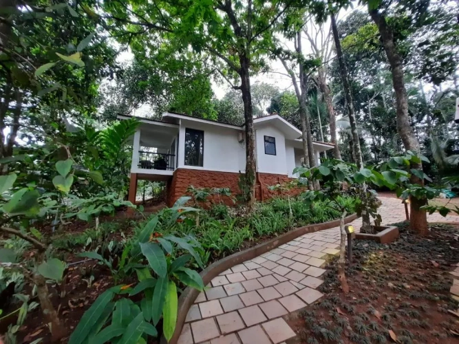 1 Bedroom Villa with balcony and with view
