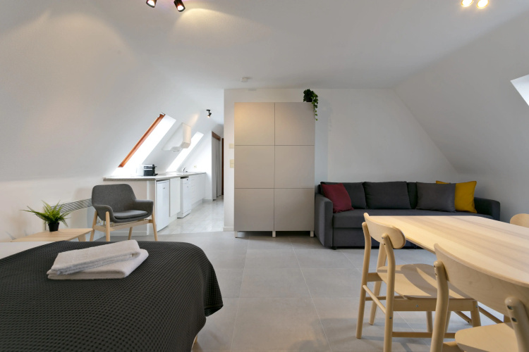 Cozy and Roomy Studio With a Homely Feel