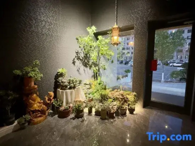 Weilai Homestay