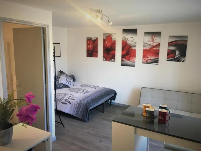 1 Bedroom Apartment