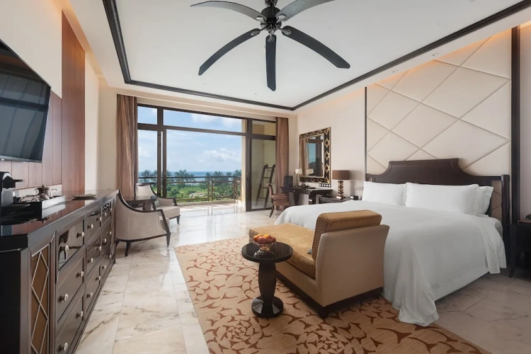 Premium Double room with balcony and with ocean view