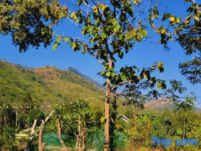 Phakphing Erawan Homestay