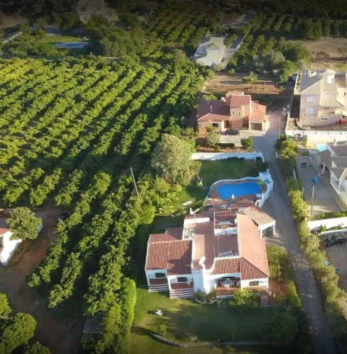 Villa