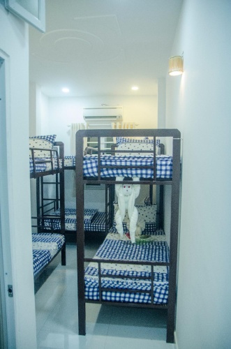 Bed in Dorm