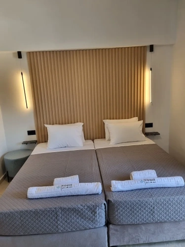 Deluxe Studio with balcony and with sea view