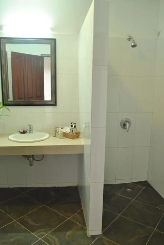 Deluxe Double room with balcony and with river view