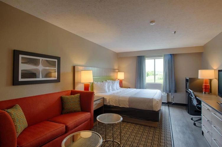Standard room with view