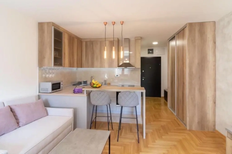 1 Bedroom Apartment