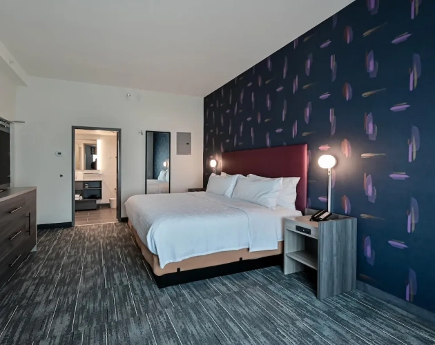1 Bedroom Suite