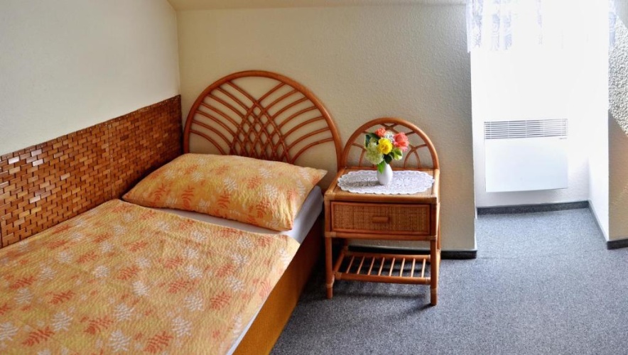 Standard Single room with view