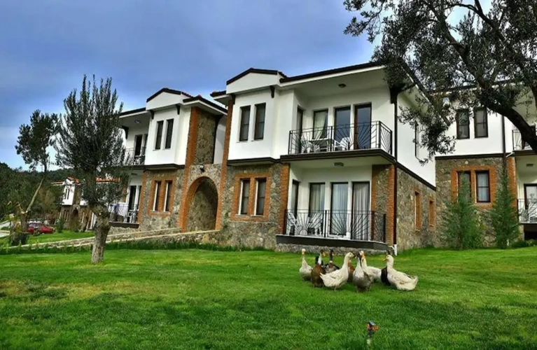 Deluxe Villa with balcony