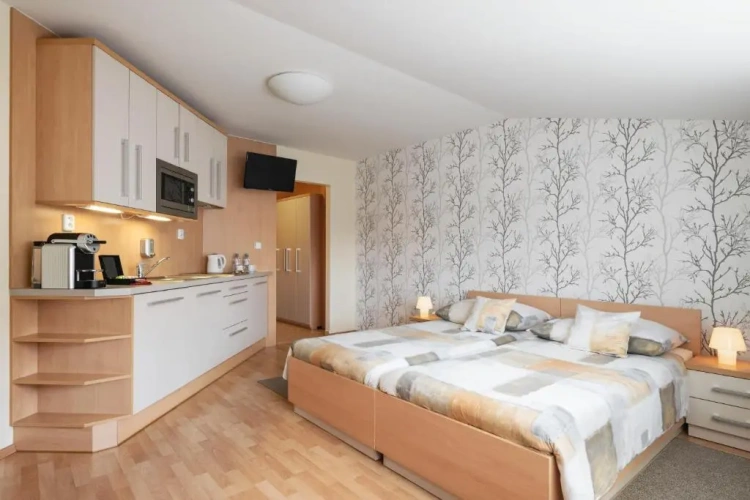 Deluxe Double Studio with view