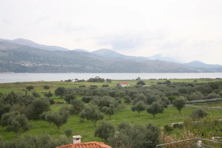 Panorama