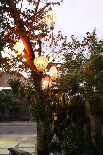 Tan Phuong Homestay