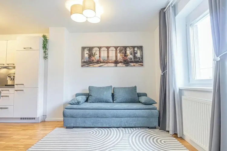 Cozy 1BR 1LR Apartment Balcony City
