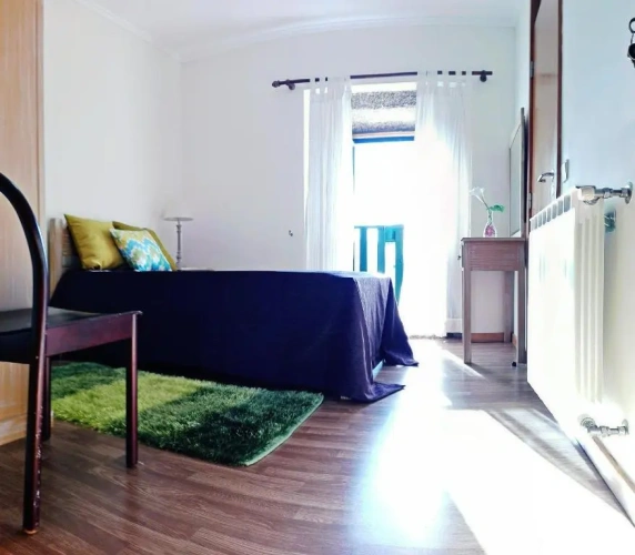 Standard Double room with balcony and with view