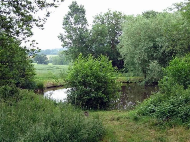 Cottage