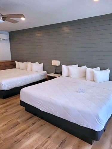 Standard Double room with view