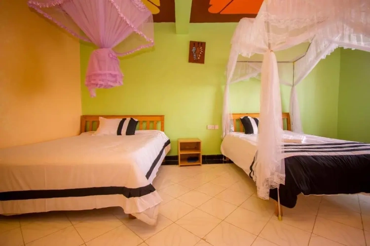 Standard Single room