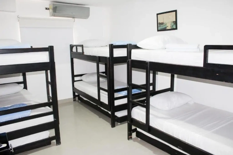 Bed in Dorm
