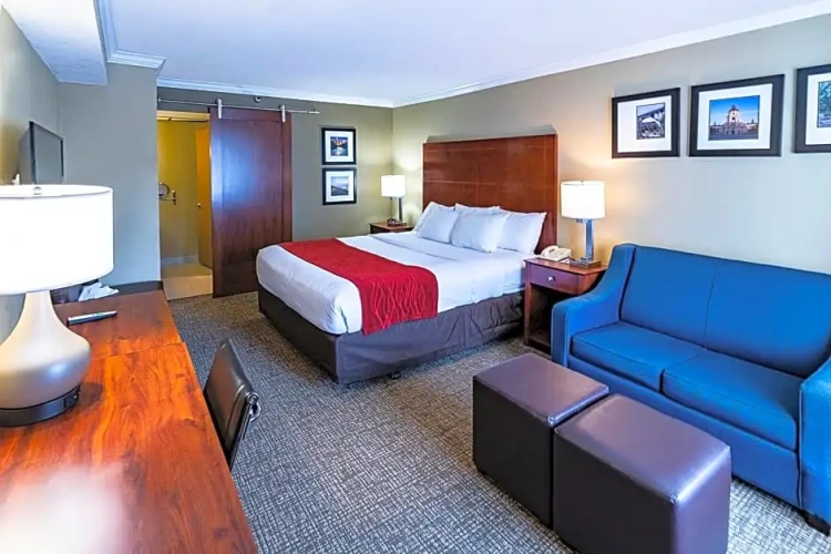 Double Suite
