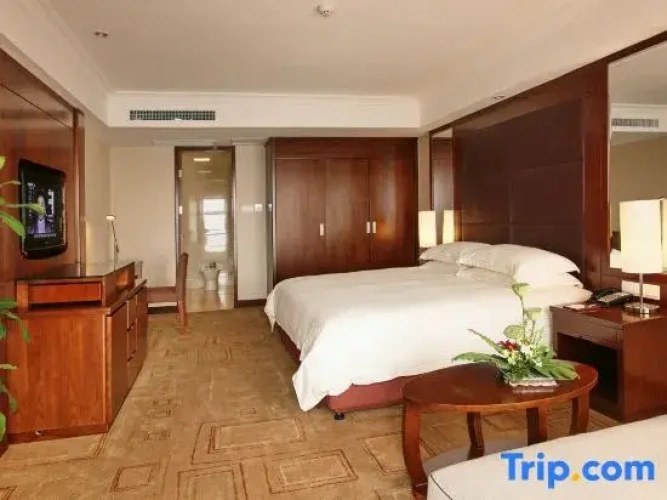 Executive Double Suite