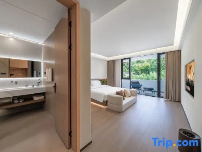Standard Double room with balcony and with pool view