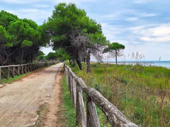 Spacious Flat Close to the Beach
