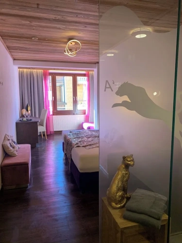Superior Double room with mountain view