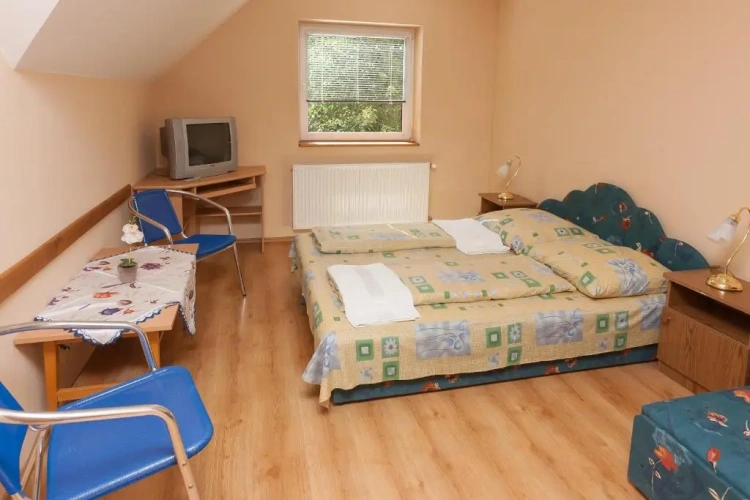 Standard Double room with view