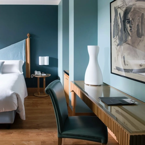 Deluxe with Terrace Double room