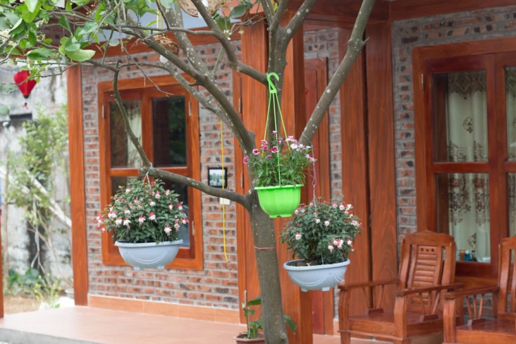 Tam Coc Moonlight Bungalow