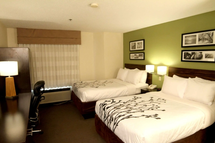 Standard Quadruple room