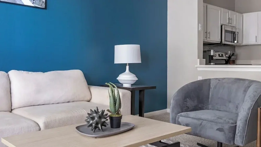 1 Bedroom Apartment