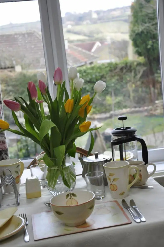 Rowan Tree House B&B