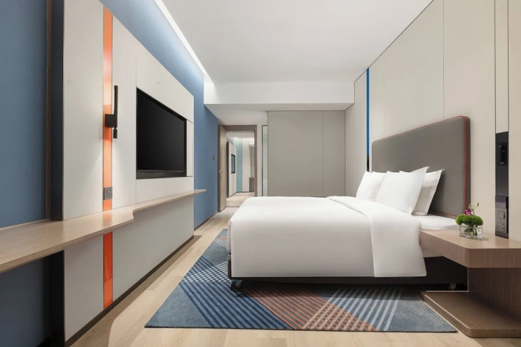 1 Bedroom Suite