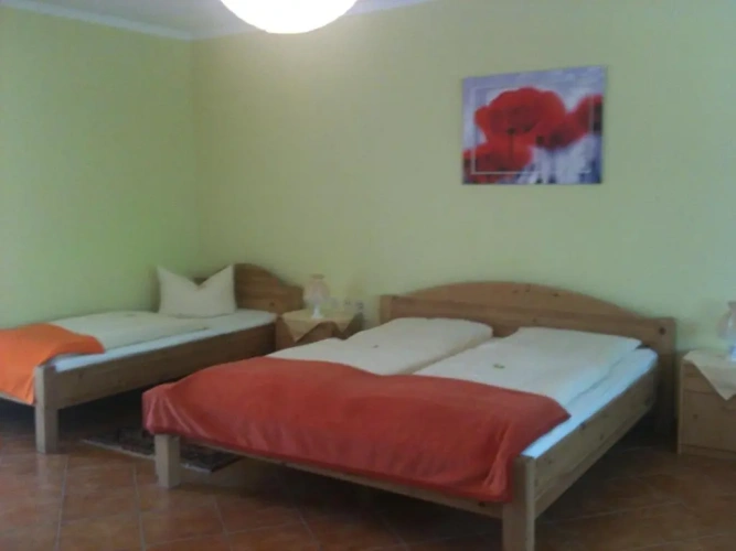 Standard Double room