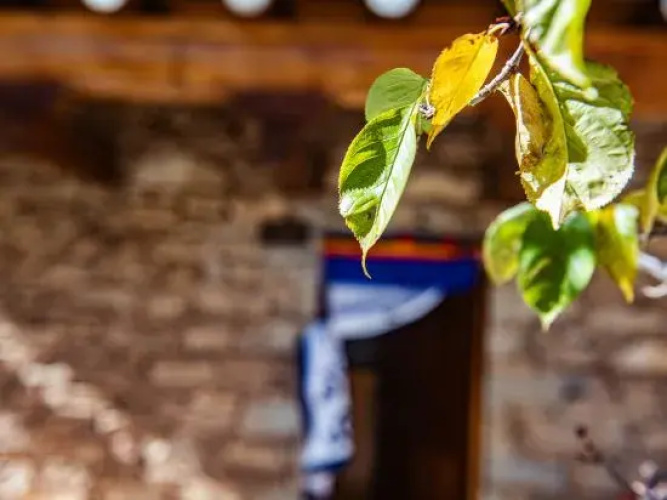 Danba Zongkar Homestay