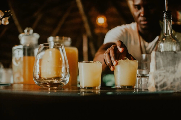 Dominican Tree House