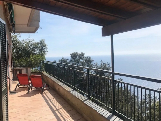 Lambrusca Moneglia in Moneglia