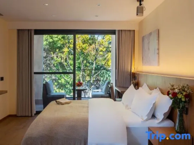 Standard Twin room with mountain view