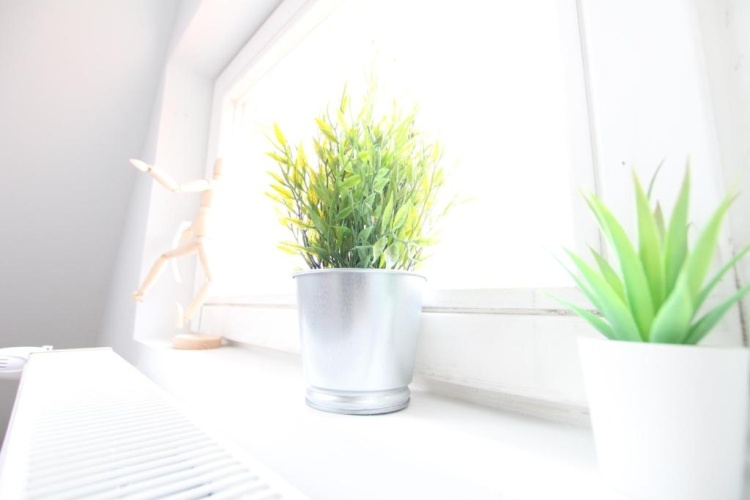 Duplex Studio