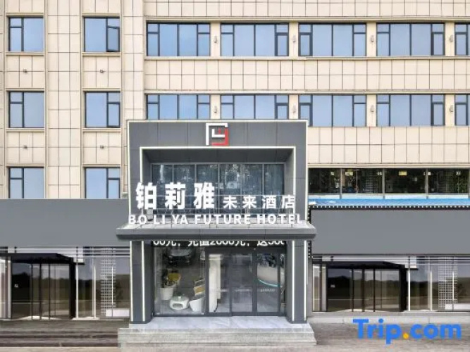 Boliya Future Hotel