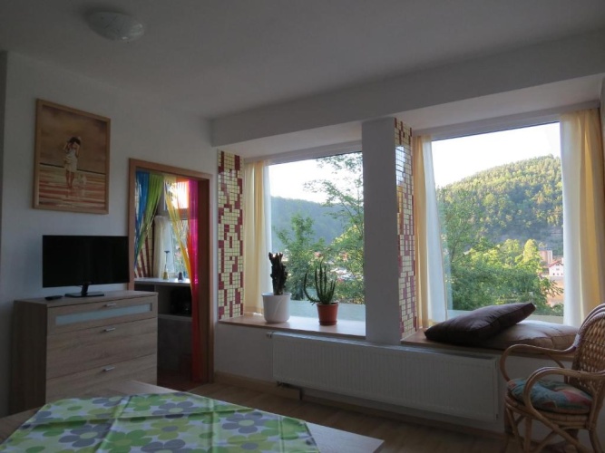Apartment with mountain view
