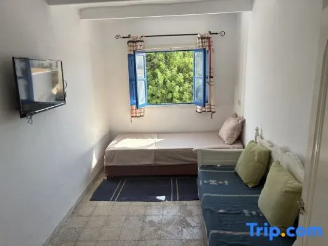 Bed in Dorm